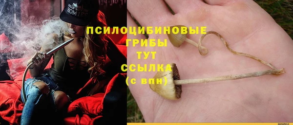 мяу мяу мука Балабаново